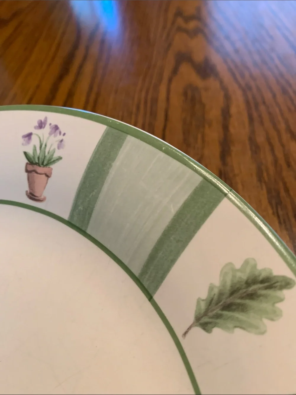 Pfaltzgraff Dinner Plate - Single Piece. Perennials Pattern.
